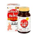 Fine Japan Хондроитин Глюкозамин таблетки 545 шт