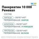 Панкреатин Реневал 10000 таблетки 10000ЕД 60 шт