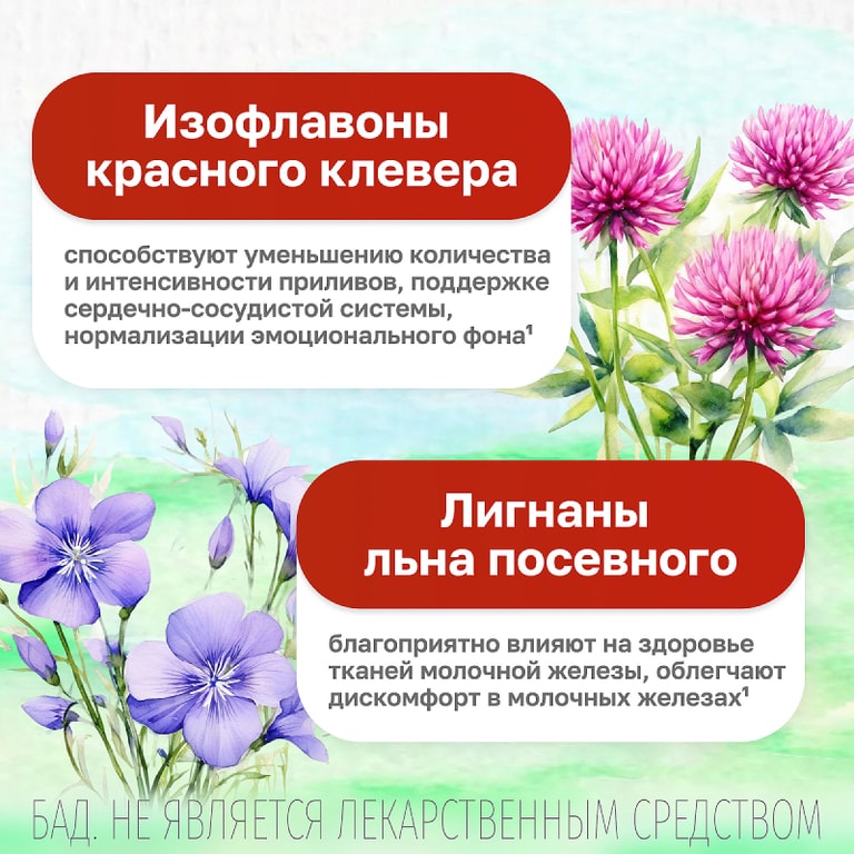 Мабелль таблетки 60 шт