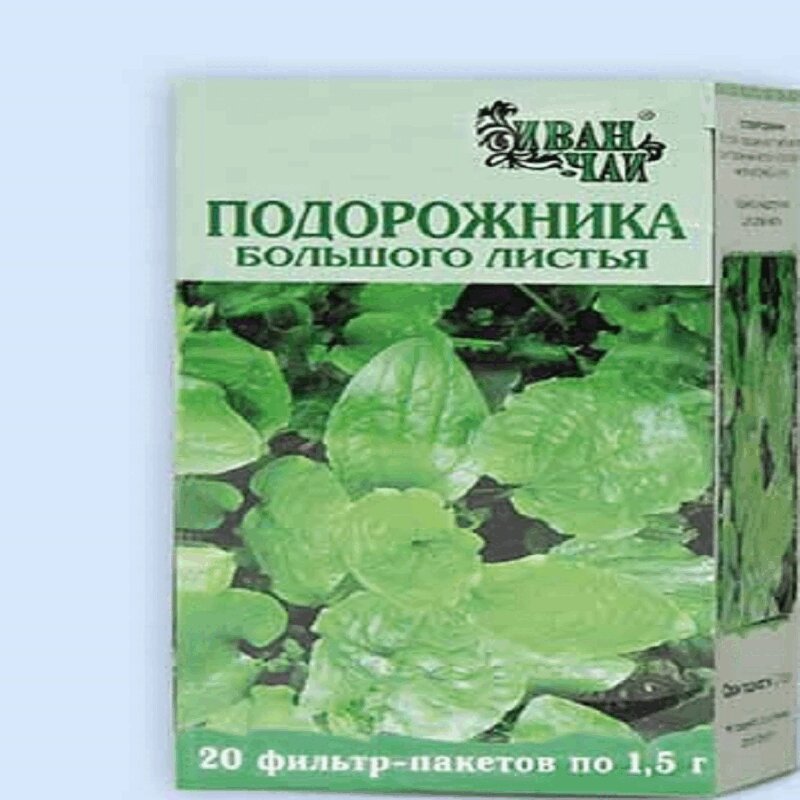 Описание листьев подорожника большого. Листья подорожника большого. Подорожника большого листья фильтр пакеты. Подорожника большого листья 1,5г n20 ф/пак Красногорсклексредства. Настой листьев подорожника большого на латинском.