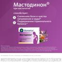 Мастодинон таблетки гомеопатические 60 шт