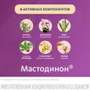 Мастодинон таблетки гомеопатические 60 шт