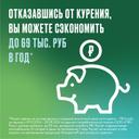 Никоретте 1 мг/доза спрей Мята 150 доз 13,2 мл 2 шт