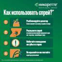 Никоретте 1 мг/доза спрей Фрукты-Мята 150 доз 13,2 мл 2 шт