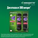 Никоретте 1 мг/доза спрей Фрукты-Мята 150 доз 13,2 мл 2 шт