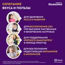 Малоежка Питание детское сбалансированное с 1 до 10 лет Ваниль 200 мл