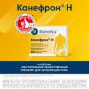 Канефрон Н таблетки 60 шт