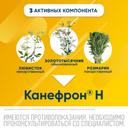 Канефрон Н таблетки 120 шт