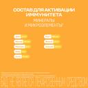 Витрум Иммунактив таблетки 30 шт