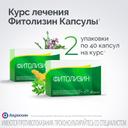 Фитолизин капсулы 40 шт