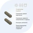 Evalar Laboratory Кортизол контроль капсулы 60 шт