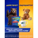 ТераФлю Экстра порошок для приготовления раствора Яблоко-Корица 10 шт