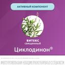 Циклодинон таблетки 30 шт