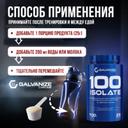 Galvanize 100 Изолят протеина порошок Шоколад 700 г