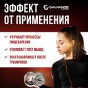 Galvanize 100 Сывороточный протеин порошок Шоколад и фундук 900 г