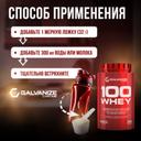 Galvanize 100 Сывороточный протеин порошок Печенье с кремом 900 г