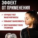 Galvanize Макс Сывороточный протеин порошок Клубника 900 г