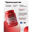 ActivLab Креатин моногидрат порошок Нейтральный 500 г