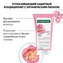 Клоран Кондиционер-гель с Пионом 150 мл 1 шт