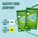 Никоретте 4 мг резинка жевательная лекарственная Свежая мята 30 шт